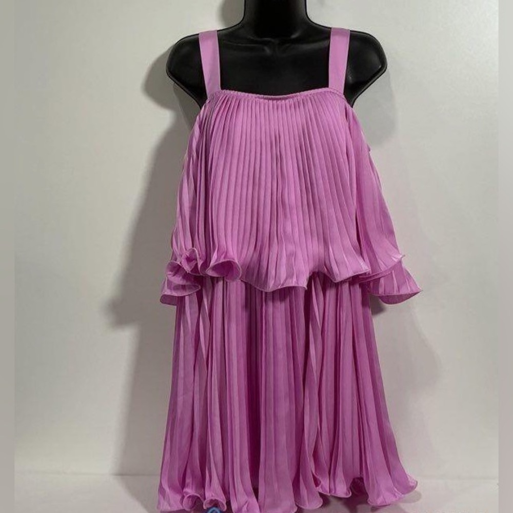 Alden Adair small elegant lavender Pleated Dress
